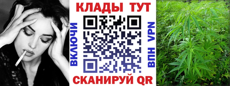 Где продают наркотики Элиста MEGA вход  СК  АМФ  МЕФ  Галлюциногенные грибы  COCAIN  Бошки Шишки  ГАШ 