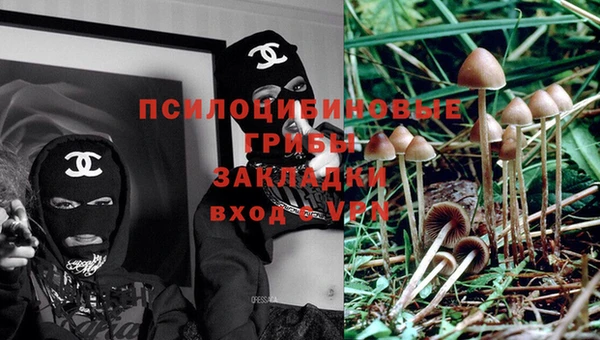 МДПВ Абдулино