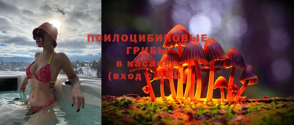 МДПВ Абдулино