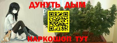 стаф Новозыбков