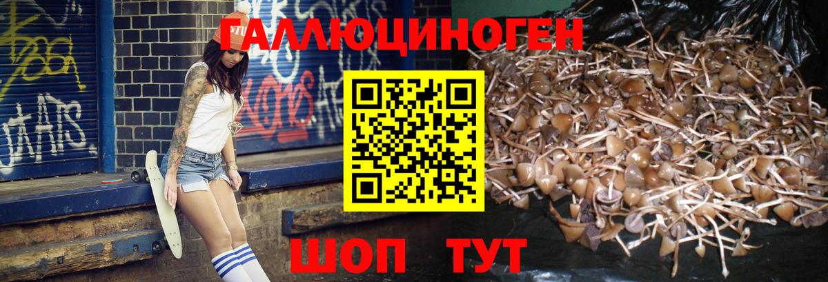 Элиста  Псилоцибиновые грибы Magic Shrooms  Вход с VPN 